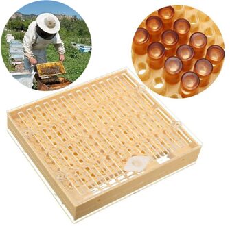 goede plastic Bijenteelt Compleet Mobiele Cup kit Cultiveren Doos Catcher Kooi Bijenteelt Apicult 20X18X5 cm