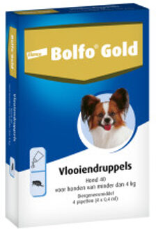 Gold 40 Anti Vlooienmiddel Hond - 0 Tot 4 kg - 4 Pipetten