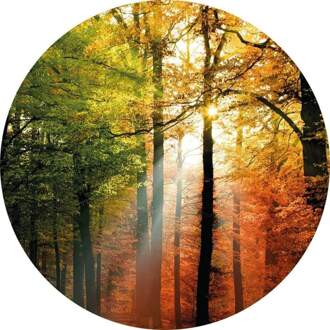 Golden Autumn Vlies Fotobehang 140x140cm Rond