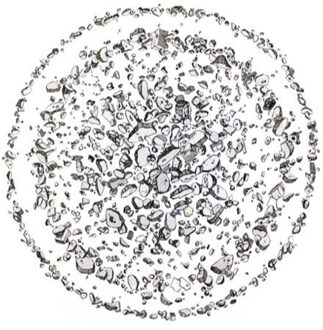 Golden Retriever - Occupied With The