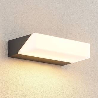 Golnar LED buitenwandlamp antraciet, wit