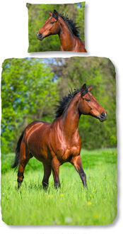 Good Morning Dekbedovertrek Katoen Running Horse multi Multicolor