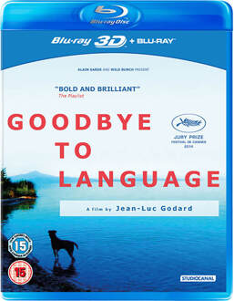 Goodbye to Langage 3D (Includes 2D Version)