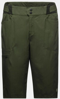 Gore Wear Passion Shorts Groen - 3XL