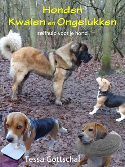 Gottswaal Vof Honden kwalen en ongelukken - Tessa Gottschal - ebook