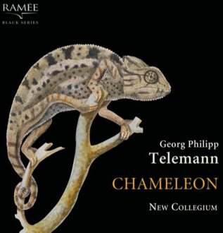GP Chameleon - G.p. Telemann