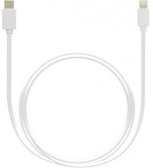 Grab 'n Go Cable Lightning naar USB C 1m (non MFI) Wit