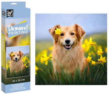 Grafix Craft ID Diamond Painting hond 30x30cm multi