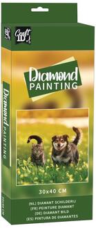 Grafix Craft ID Diamond Painting Kat En Hond 30x40cm multi