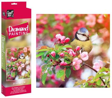 Grafix Craft ID Diamond Painting vogel 30x30cm multi