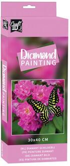 Grafix Diamond painting vlinder 30x40cm multi