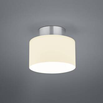 Grand Opal plafondlamp aluminium Ø 20 cm aluminium geanodiseerd, opaalwit
