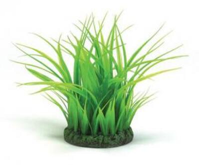 Grass Ring - Aquarium Plant - Small - Groen