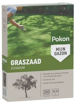 Graszaad Schaduw - Voor aanleg & herstel van gazon in de schaduw - 250gr (voor 10-15m²)