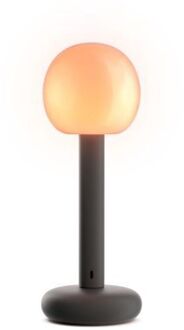 Grau Fire Portable Lamp - Zwart