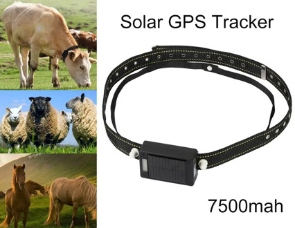 Graze supplies Solar energy charging Tracking Device Cattle Cow Sheep Horse Camel GPS Tracker Locator Waterproof collar free