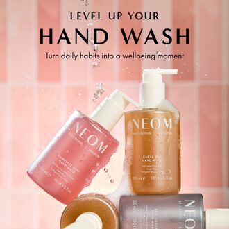 Great Day Hand Wash 300ml