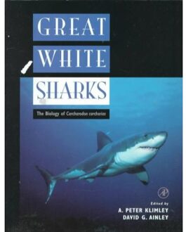 Great White Sharks