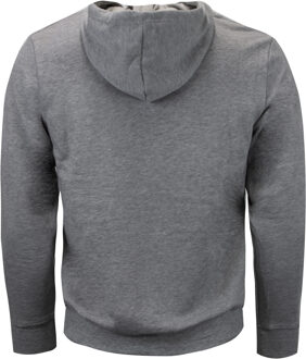 Green Bay Packers Heren Hoodie Grijs