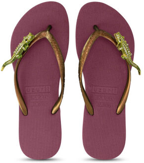 Green crocodile switch robijn Rood - 37-38