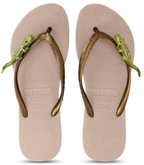 Green crocodile switch zand Beige - 37-38