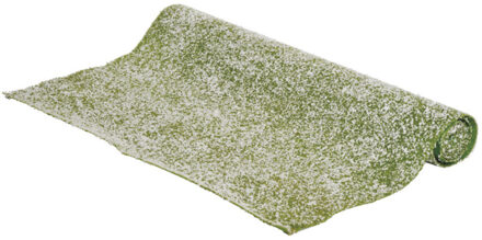 Green Lawn with Snow Mat