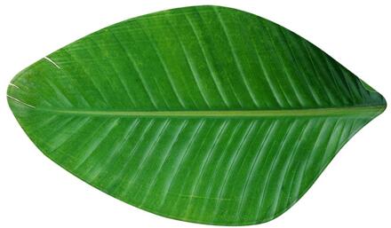 Green Leaf Kid Kamer Bedside Tapijten Flanel Rebound Bad Vloer Yoga Mat Anti-Slip Absorberende Kithchen Tapijten Living kamer 39x70cm