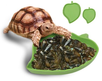 Green Leaf Vorm Reptiel Feeder Schildpad Hagedis Gecko Snake Kameleon Voedsel Water Feeder Schotel Kom Accessoires Arrivals Pet