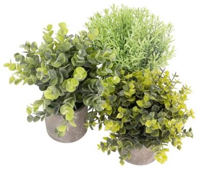 GreenDream® Kunstplanten - Kleine kunstplanten - Kamerplanten - 3 stuks - Kunstplanten 20cm Groen