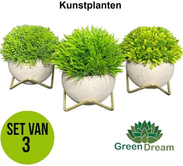 GreenDream® Kunstplanten - Kunstplanten voor binnen - 15x12 cm -Set van 3 stuks - Vetplanten - Decoratie Groen