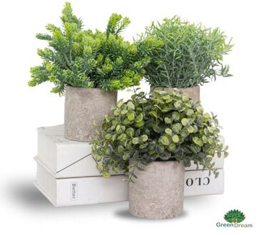 GreenDream® Kunstplanten set met 3 Kleine kunstplanten 20 cm - Cadeautip Groen