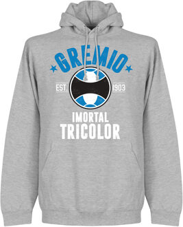 Gremio Established Hooded Sweater - Grijs