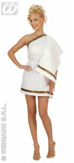 Griekse schone carnavalskleding Wit - Transparant