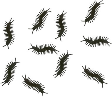 Griezel dieren duizendpoten - 10 cm - zwart - 50x stuks - nep insecten - Halloween