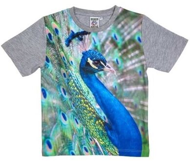 Grijs t-shirt met pauw voor kinderen