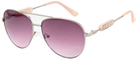 Grijze Geïntroduceerde Zonnebril Grijs