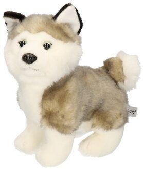 Grijze Husky knuffel poolhond 24 cm