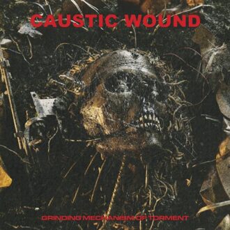 Grinding Mechanism Of Torment - Caustic Wound