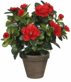 Groene Azalea kunstplant met rode bloemen 27 cm met pot stan grey - Kunstplanten Rood