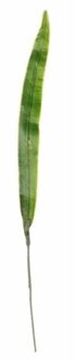 Groene Galioolblad plant kunsttak 40 cm - Kunstbloemen