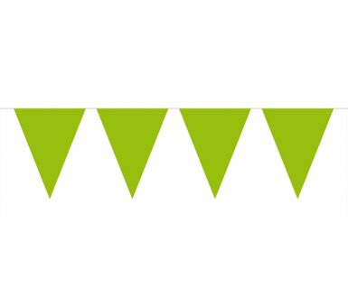 Groene slinger met vlaggetjes 10 meter