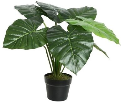 Groene taro kunstplanten 52 cm met zwarte pot - Kunstplanten