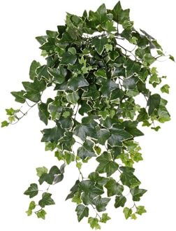 Groene/witte Hedera Helix klimop weerbestendige kunstplanten 65 cm - Kunstplanten