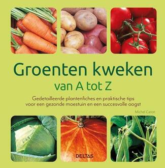 Groenten Kweken Van A Tot Z