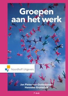 Groepen aan het werk - Boek Jan Pieter van Oudenhoven (9001846254)