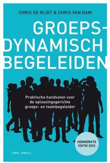 Groepsdynamisch Begeleiden - Chris De Rijdt