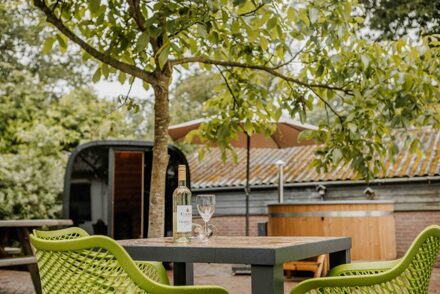 Groepsvilla - 12 personen