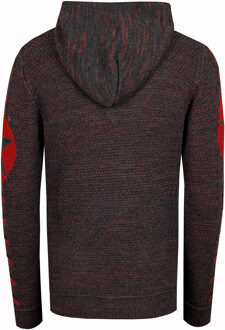 Grof gebreide hoodie Donkergrijs - S