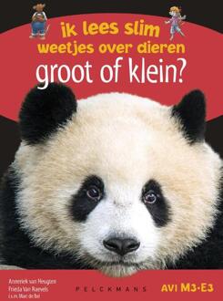 Groot of klein? - Boek Anneriek van Heugten (9462346216)