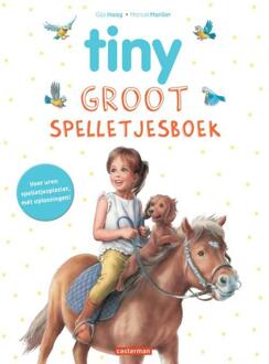 Groot spelletjesboek -   (ISBN: 9789030378259)
